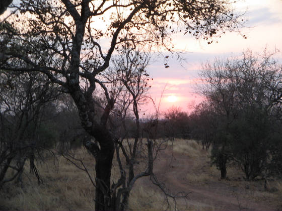 african_sunset.jpg